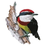 AdminLTE Logo